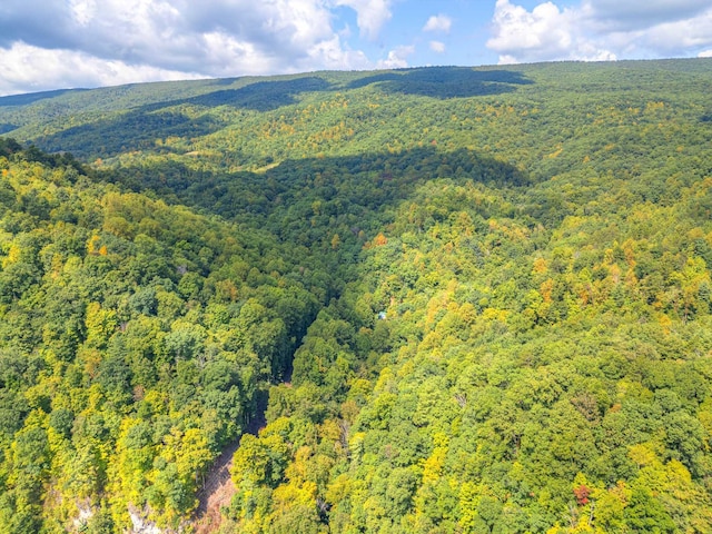 1782 Wolf Creek Rd, Narrows, VA 24124 - drone / aerial view of a heavily wooded area