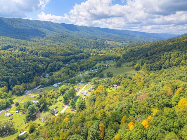1782 Wolf Creek Rd, Narrows, VA 24124 - bird's eye view of a forest and a mountainous background