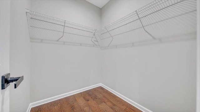 spacious closet featuring wood finished floors