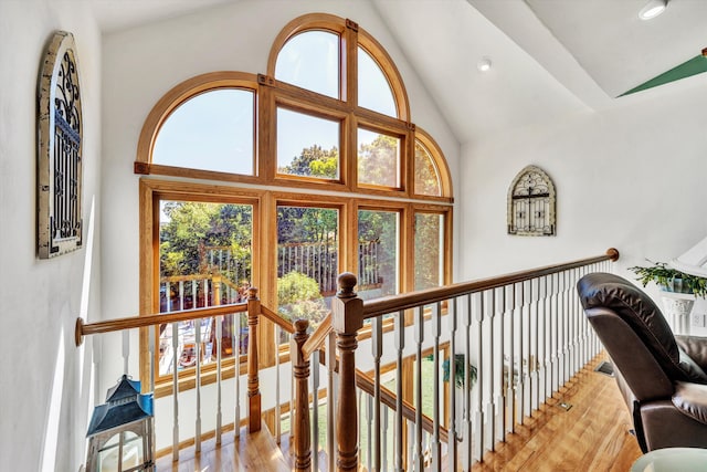 hallway featuring high vaulted ceiling and wood-type flooring