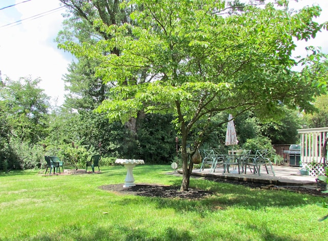 view of yard with a deck