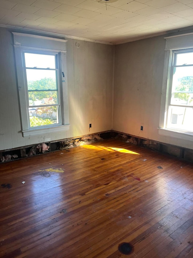 empty room featuring a healthy amount of sunlight and dark hardwood / wood-style flooring