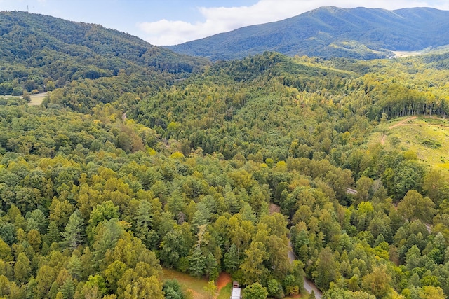 Listing photo 2 for 0 Willow Branch Rd, Boones Mill VA 24065