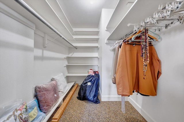 view of walk in closet