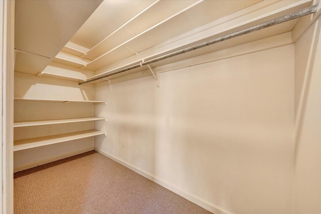 walk in closet with carpet