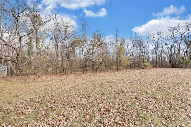 view of local wilderness