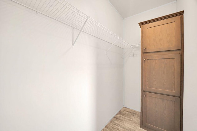 spacious closet featuring light wood-type flooring