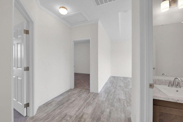 interior space featuring hardwood / wood-style flooring, crown molding, and vanity