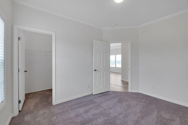 unfurnished bedroom with a closet, ornamental molding, light carpet, and a spacious closet