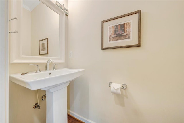 bathroom featuring hardwood / wood-style flooring