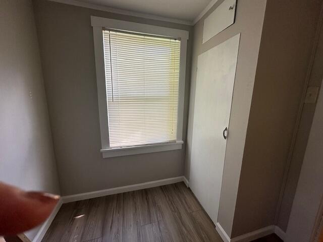 interior space featuring wood-type flooring and crown molding