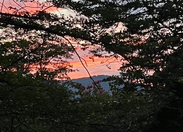 nature at dusk with a mountain view