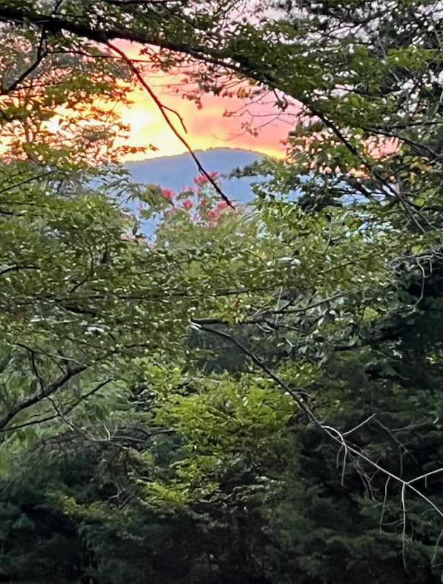 view of nature at dusk