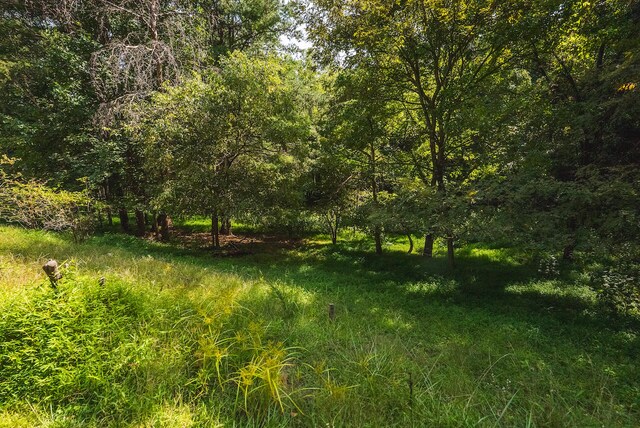 view of nature