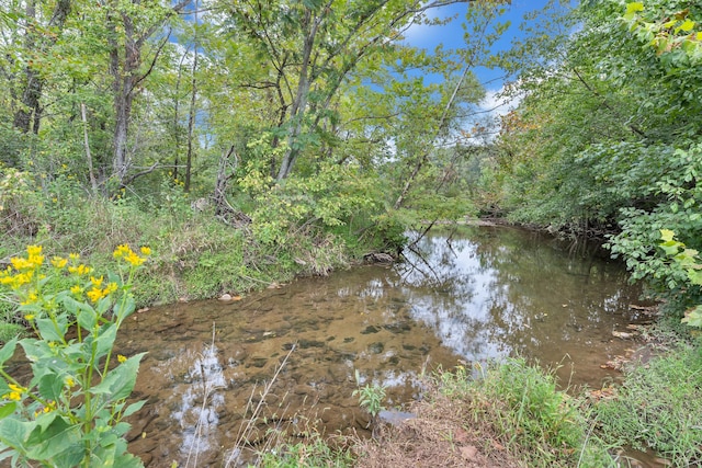 view of nature