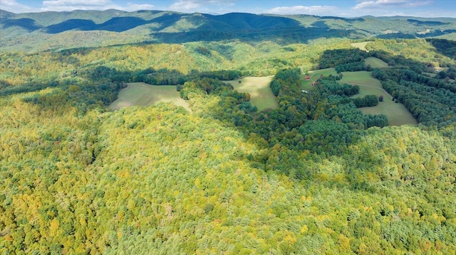 drone / aerial view featuring a mountain view