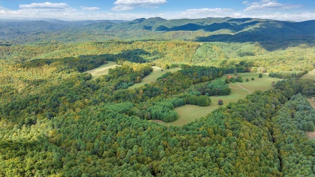 drone / aerial view featuring a mountain view