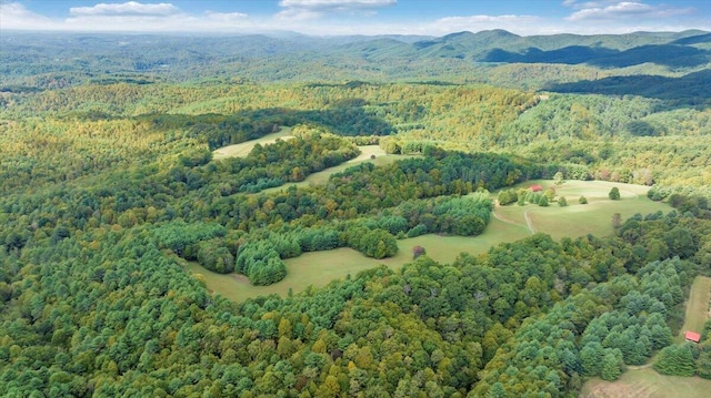 birds eye view of property featuring a mountain view