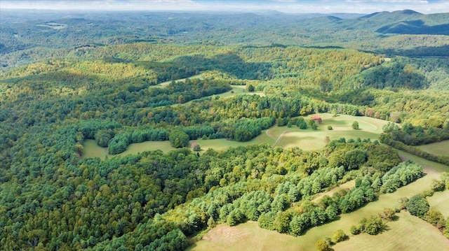 bird's eye view featuring a mountain view