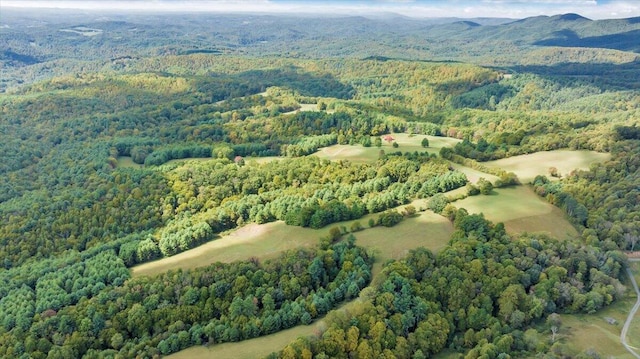 bird's eye view with a mountain view