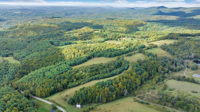 birds eye view of property featuring a mountain view