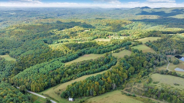 aerial view with a mountain view