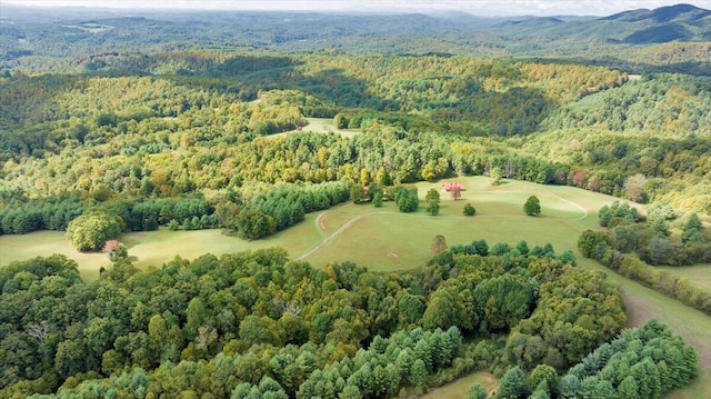 drone / aerial view featuring a mountain view