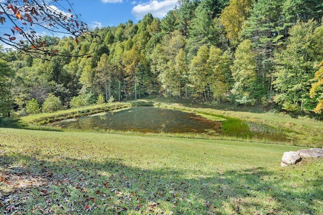 view of yard with a water view