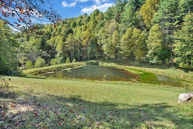 view of yard with a water view