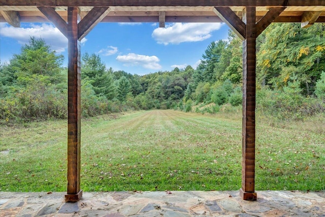 view of yard featuring a patio