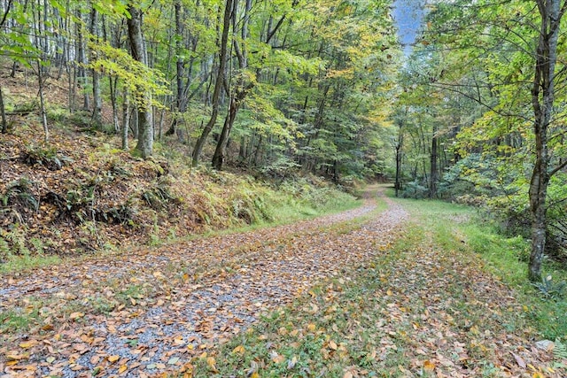 view of road