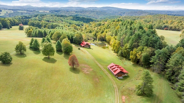 aerial view with a mountain view