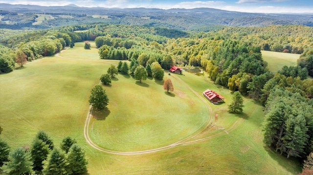 drone / aerial view featuring a mountain view