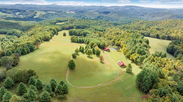 birds eye view of property featuring a mountain view