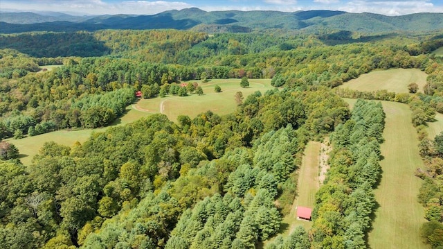 drone / aerial view with a mountain view