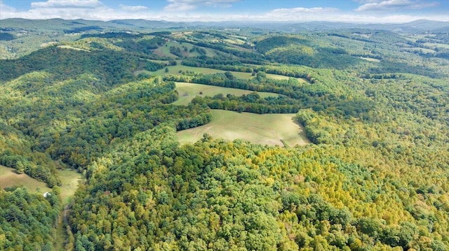 aerial view with a mountain view