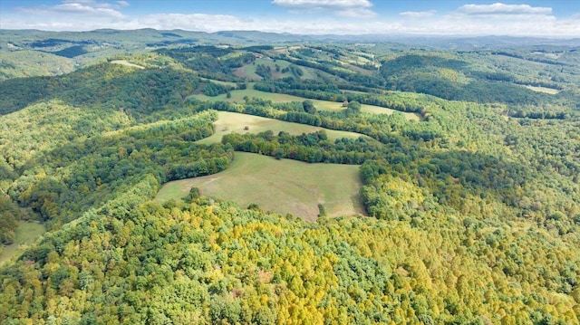 aerial view featuring a mountain view