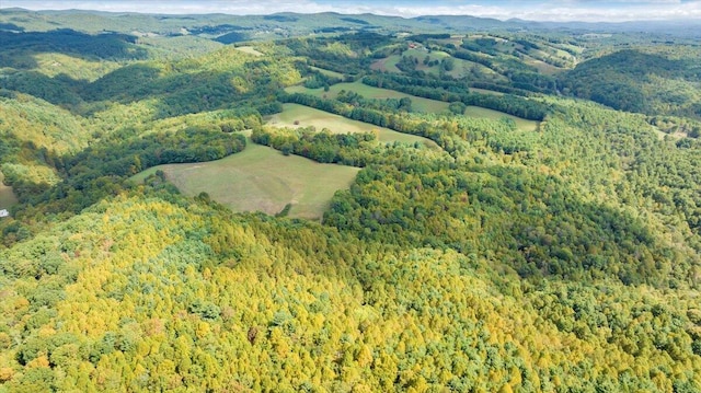 drone / aerial view with a mountain view