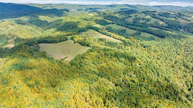 aerial view with a mountain view