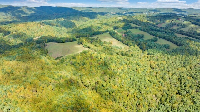 drone / aerial view with a mountain view