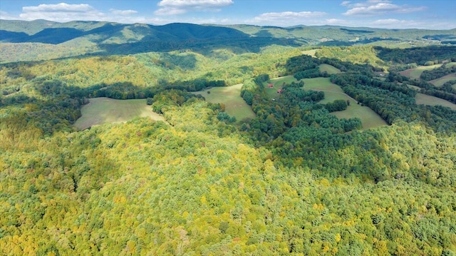 property view of mountains