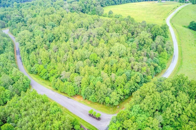 Listing photo 2 for LOT44 Admirals Way, Glade Hill VA 24092