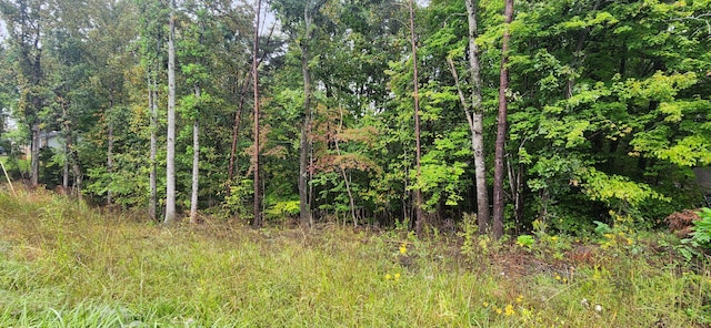 Listing photo 3 for LOT35/36 Circle View St, Rocky Mount VA 24151