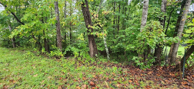 LOT63 Circle View St, Rocky Mount VA, 24151 land for sale