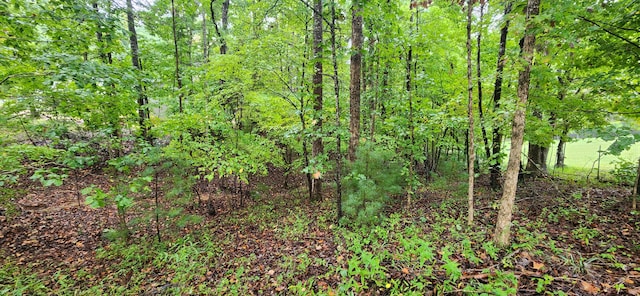 Listing photo 2 for LOT63 Circle View St, Rocky Mount VA 24151