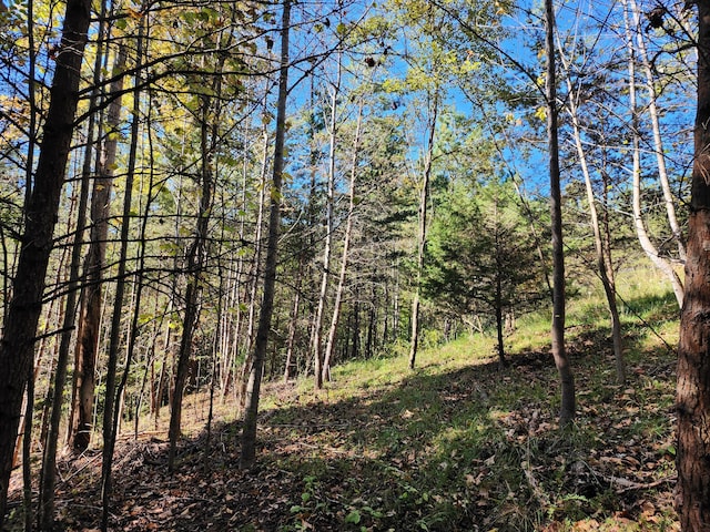 LOT16 Point Dr, Hardy, VA 24101