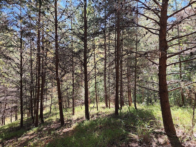 LOT16 Point Dr, Hardy, VA 24101