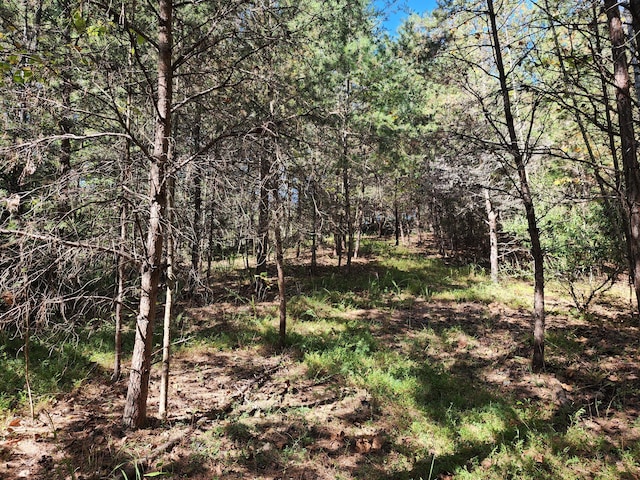LOT16 Point Dr, Hardy, VA 24101