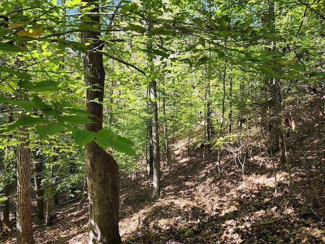 LOT16 Point Dr, Hardy, VA 24101