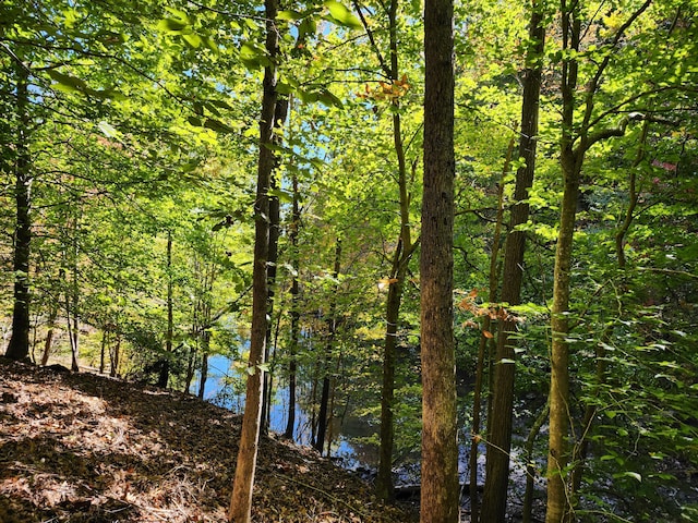 LOT16 Point Dr, Hardy, VA 24101